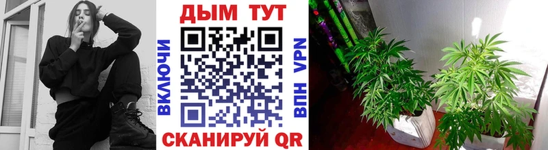 Что такое Бор СОЛЬ  МАРИХУАНА  Мефедрон  Галлюциногенные грибы  Кокаин  ГАШИШ 