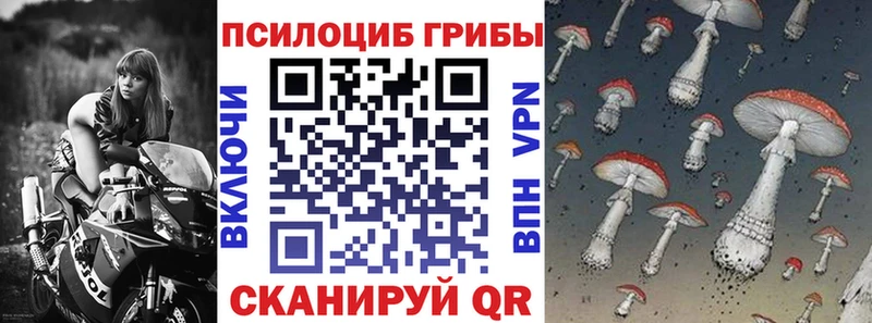 Галлюциногенные грибы MAGIC MUSHROOMS  купить наркотики сайты  Бор 